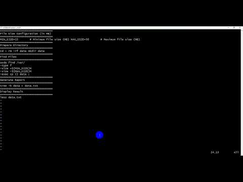 Run Shell Script