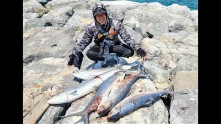 Medium Size MilkFish Fishing in UAE. My 9th strikes of the day, 6th landed.