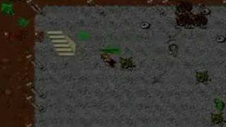 Tibia Lucera Elder Beholders