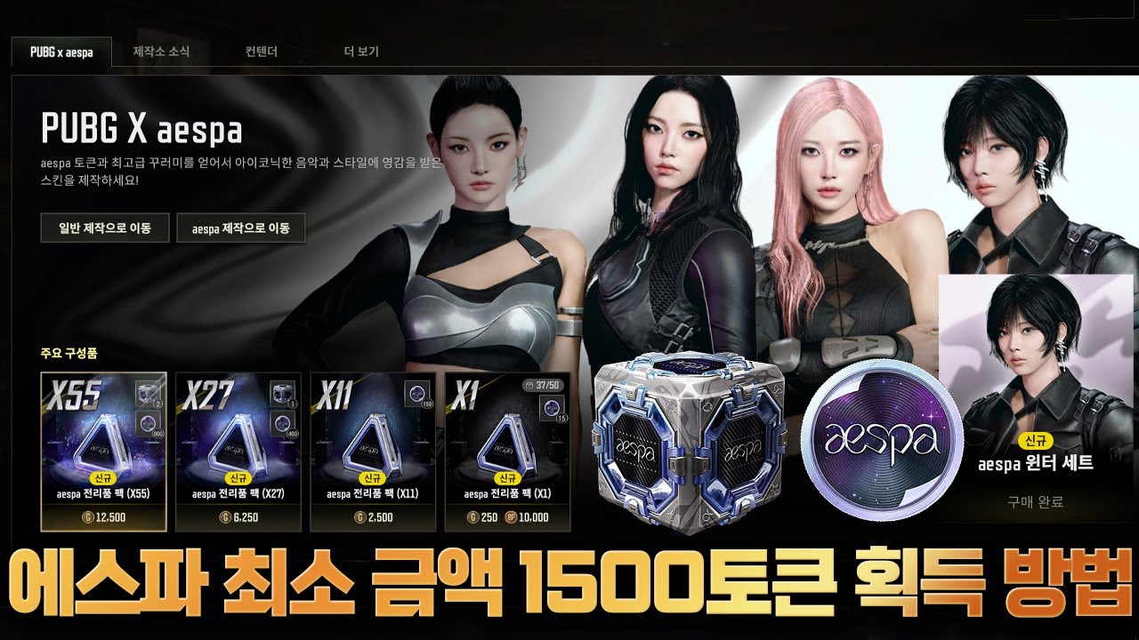 배그 에스파 천장 가격 최소 금액으로 1500토큰 확정 획득 하는 방법 [배틀그라운드 해묵]