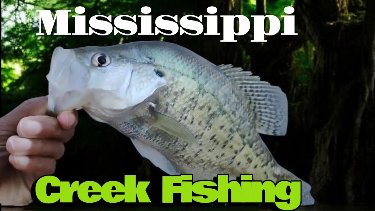 CREEK TO CREEK CRAPPIE FISHING 