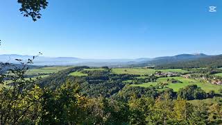 Forest Bathing: Quiet Moments for Mind & Soul  🌿 Relax. Breathe. Reconnect with nature. 🌿  screenshot 2