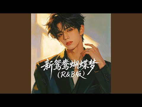 新鸳鸯蝴蝶梦(R&B版)