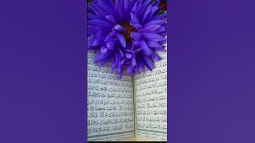 سورة البقرة من الآية ١٧ إلى الآية ٢٤ بصوت الشيخ محمد صديق المنشاوي