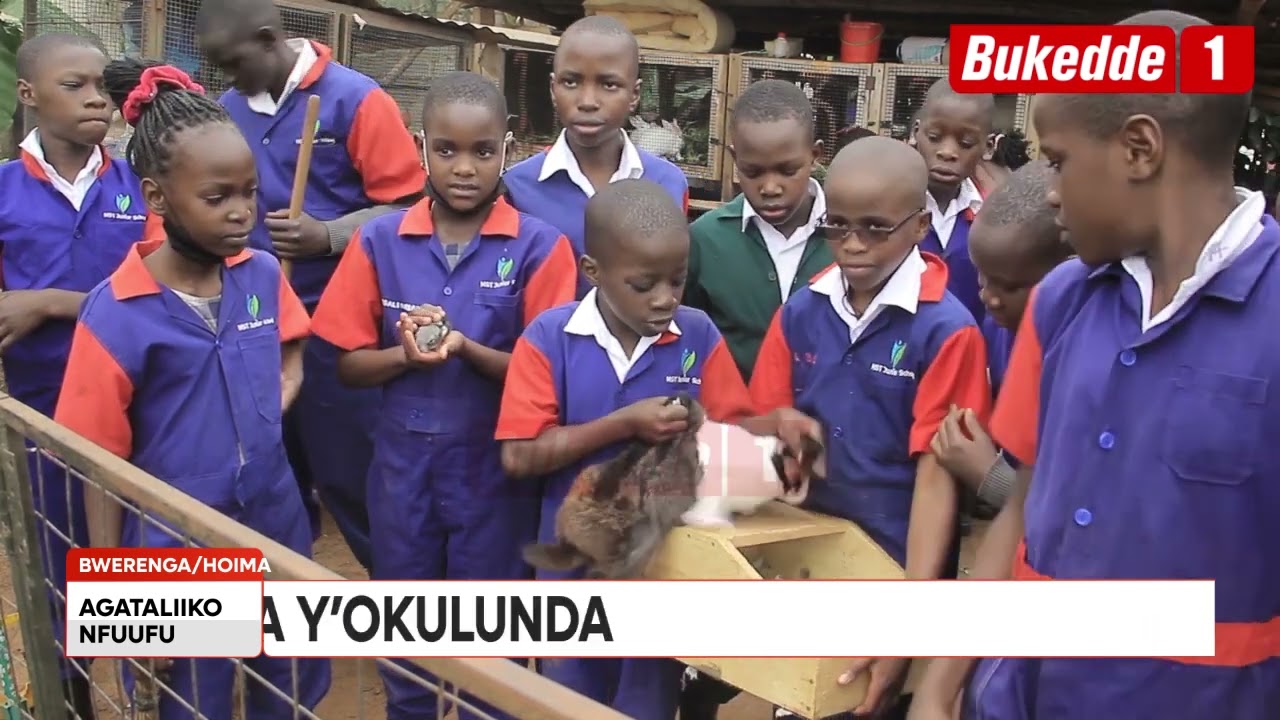 Agataliikonfuufu  Okunoonya Omulimi asinga  Omulimi asinga   Tukuletedde Emma Naluyima .