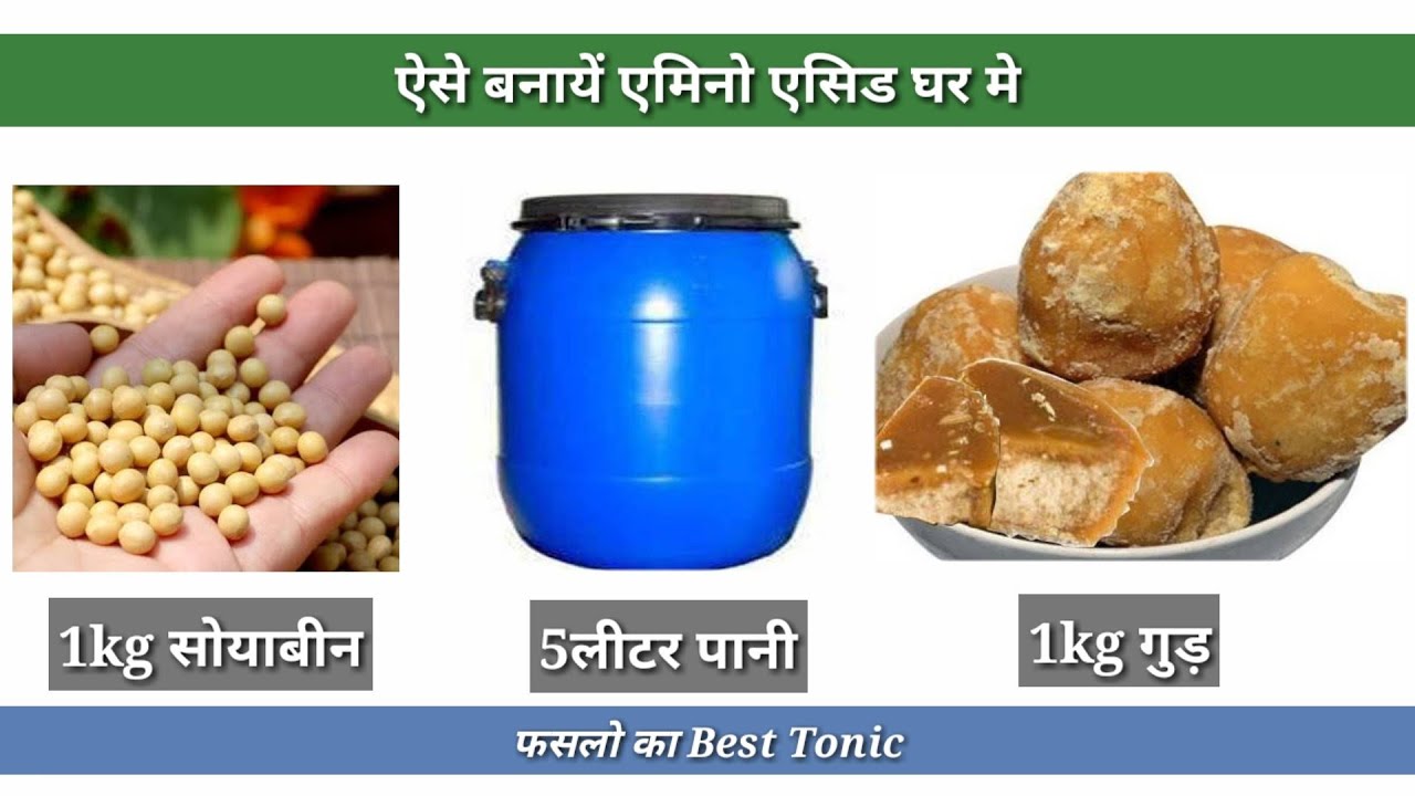 एमिनो एसिड घर मे बनाने का 2 तरीका।Home Made Amino Acide.