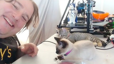 T3DP Live Creality CP-01 Unbox, Build, Print