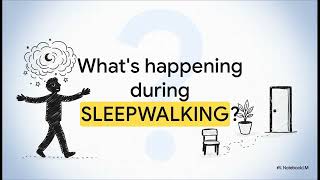 The BKM Unified Framework for Sleep and Motor Automatisms