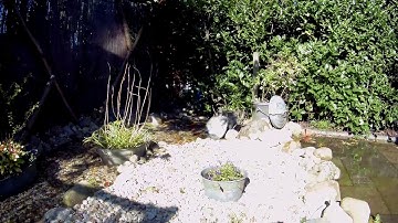 Gitup Git2 (pro) unedited action cam video footage review 1080HD 60fps