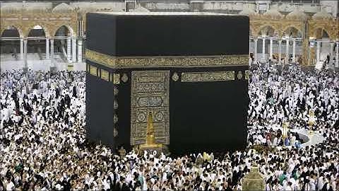 تلاوة بصوت جميل وهادئ - سورة الانبياء للقارئ أنس العمادي