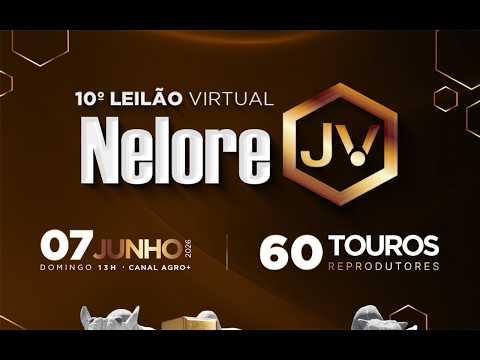 LOTE 009