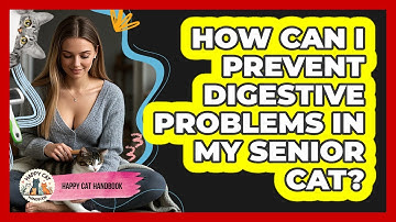 How Can I Prevent Digestive Problems In My Senior Cat? - Happy Cat Handbook