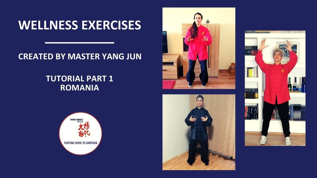 Wellness Tutorial Wellness Exercises Tutorial Part 1 / Romania - YouTube