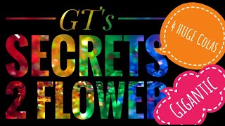 Growtents Secrets To Flower Cannabis