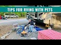 Tips for RVing with Pets