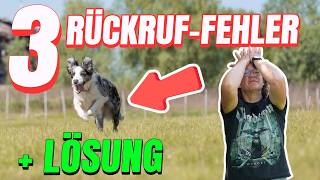 💥🐶 Recall training for dogs 👉 THESE 3 mistakes will ruin everything!💥✔️
