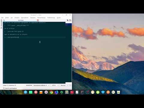 Deepin error en JDK: Picked up _JAVA_OPTIONS: - Dawt.useSystemAAFontSettings=gasp