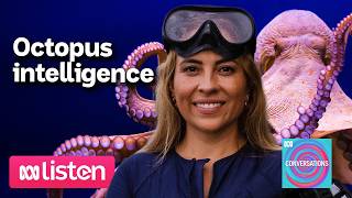 Alex Shnell's extraordinary discoveries about octopus intelligence | ABC Conversations Podcast