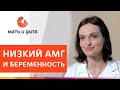 🤰 Успешная беременность при низком АМГ. Низкий АМГ и беременность. MD GROUP. 18+