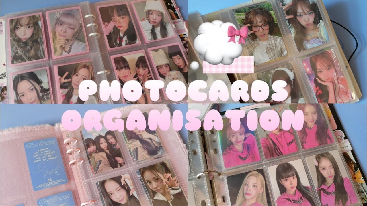 ⋆˚꩜｡организация биндеров