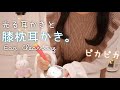 【ASMR】光る耳かきと膝枕耳かき/竹耳かき/囁き/Earcleaning/3dio/Whispering