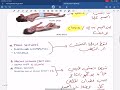 Introduction to Epilepsy