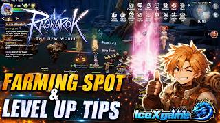 Ragnarok The New World Farming Spot & Level Up TIPS screenshot 2