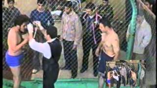 Akbar Nabavizadeh Zenoz Mma