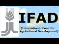 Ifad international fund for agricultural development  international organization  narviacademy