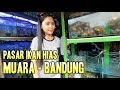 Pasar ikan hias Muara bandung