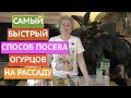 КАК ПОСАДИТЬ ОГУРЦЫ НА РАССАДУ ЗА 10 МИНУТ! ЭКСПРЕСС-МЕТОД!