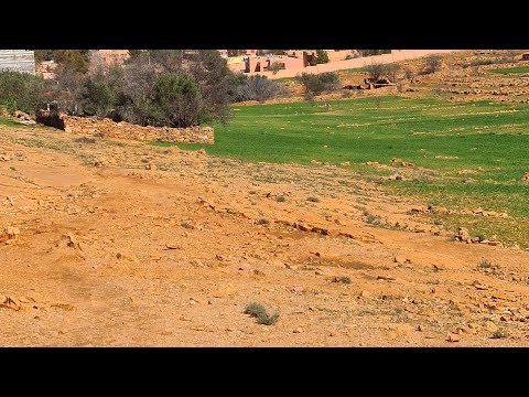 الحمد لله تسوا الوقت 