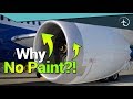 Why the front of the Jet Engine is NEVER painted..