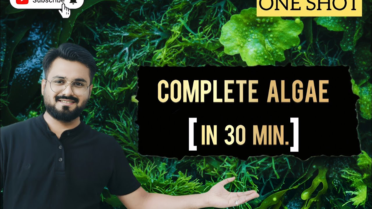 Algae in one shot class 11 || Chapter 3_plant kingdom || 