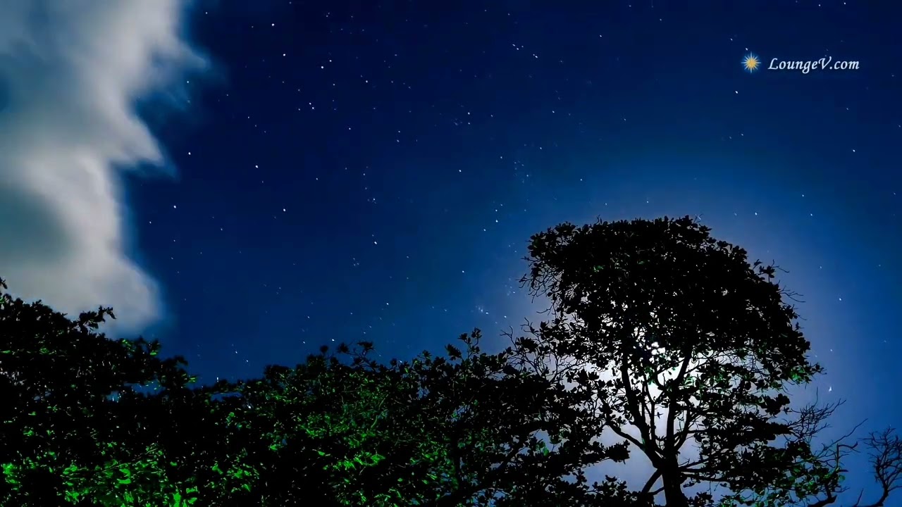 Relax video | Achyutam - The Love Keys | Timelapse LoungeV