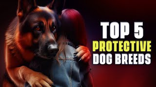 Guardians of the Pack: Top 5 Protective Dog Breeds Unveiled! by Dog Powwow 200 views 2 months ago 1 minute, 47 seconds