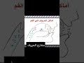 اماكن مخارج الحروف من الفم اللغة العربية لغة الجسد لغة المغرب Youtube كلام العربية الحروف 