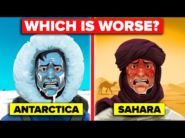 Antarctica vs Sahara - Could You Survive 1 Year In Extreme Temperatures class=