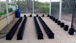 Installing the Autopots at URD Solution