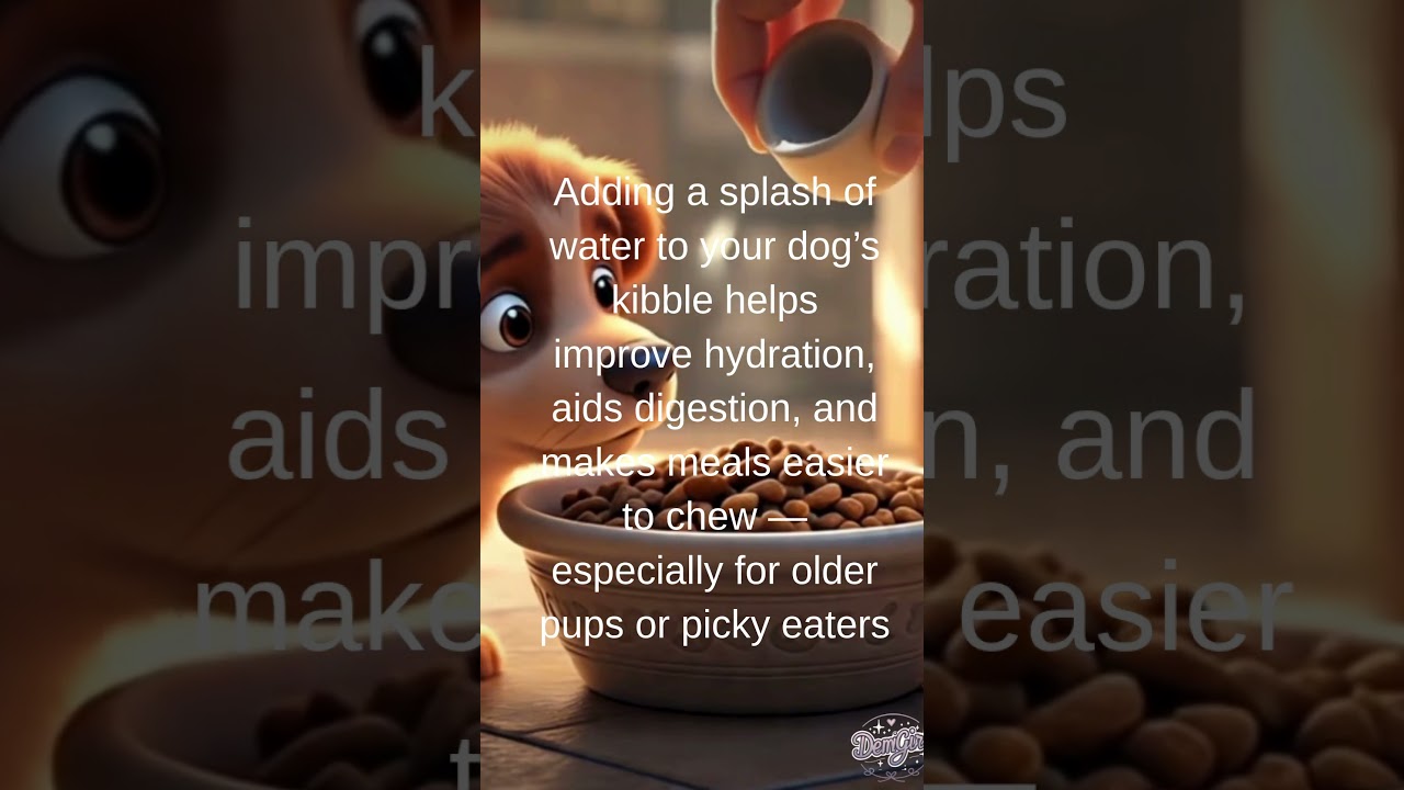 Just Add Water Hydration in Every Bite! 