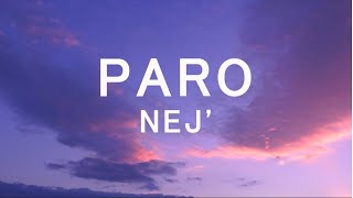 Nej - Paro (TikTok Remix sped up) Lyrics