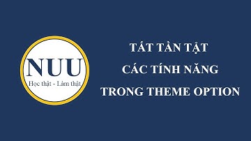 Bài 11: Tùy chỉnh giao diện trong theme option (Kuteshop)