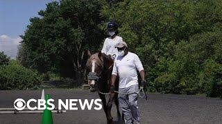 New York City horse farm provides therapy to veterans and people with disabilities screenshot 4