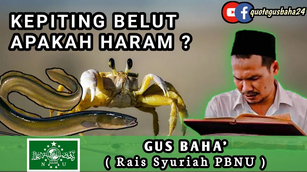 ♦️👳🏽‍♂️♦️ Gus Baha' | Kepiting Belut , apakah haram ? - YouTube