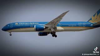 tu134&b787 Vietnam airlines