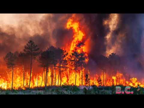 Spain firefighters battle to control huge Valencia wildfire
