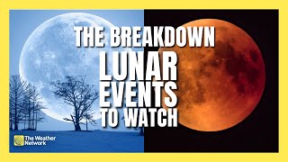 Snow Moon To Blood Moon What To Watch For In The Sky