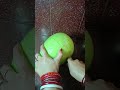 सा सब्जी 😱 #shorts #viral #vlog #food #foodie #cooking