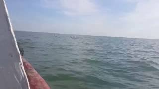 20150426 084940 mp4 T5792a681 720p