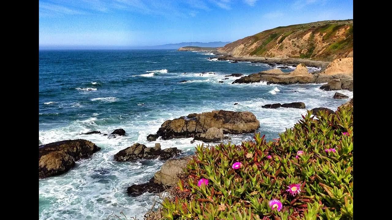 Bodega Bay Whale Watching at Bodega Bay Trailhead YouTube